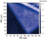 Wafer Defect Inspection