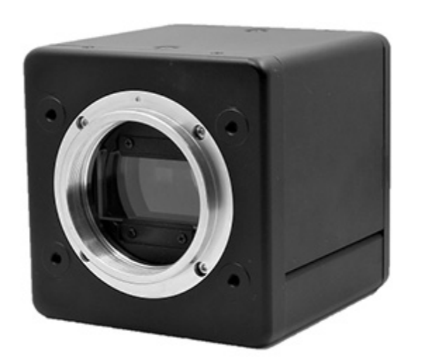 GCA01